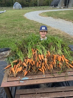 Harvest day at the ranch